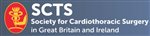 SCTS Deputy Audit Thoracic Surgery Lead Role Vacancy